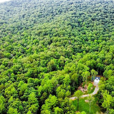 White Owl Cottage Blairsville Bagian luar foto
