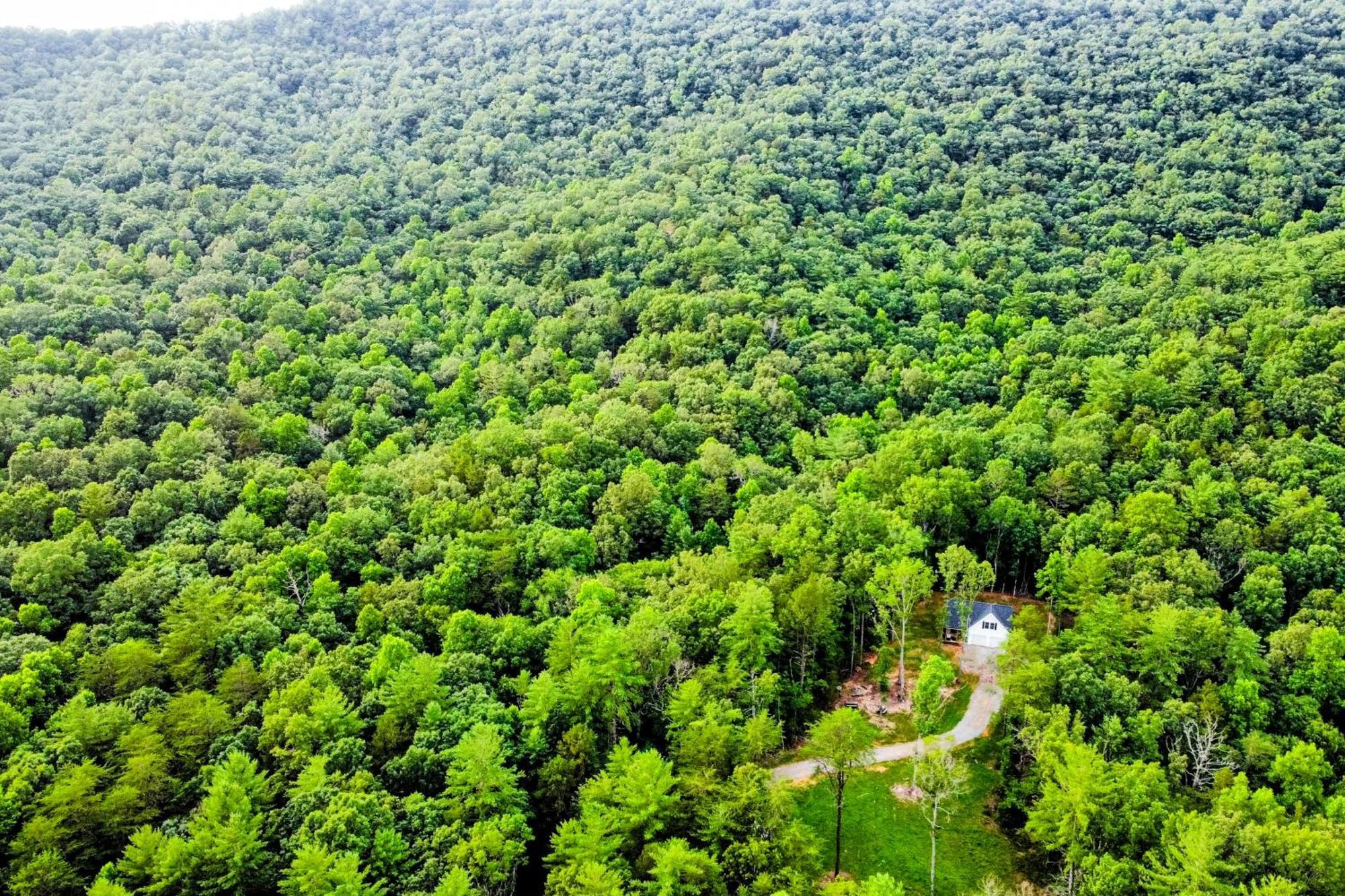 White Owl Cottage Blairsville Bagian luar foto